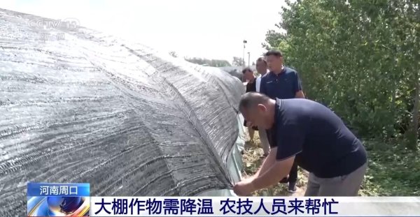 易启胜 河南启动重大气象灾害高温四级应急响应