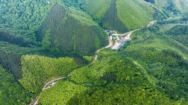 鼎茂策略 多彩吕山寄乡愁