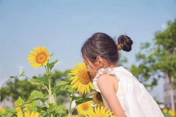 大牛时代 东西湖收费站因季节流转演绎锦绣风光  四季花海簇拥武汉“西大门”