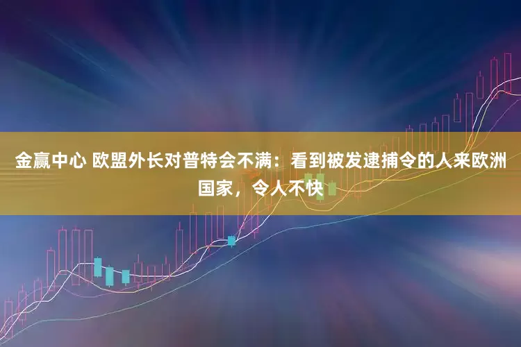 金赢中心 欧盟外长对普特会不满：看到被发逮捕令的人来欧洲国家，令人不快