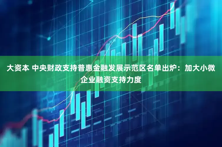 大资本 中央财政支持普惠金融发展示范区名单出炉：加大小微企业融资支持力度